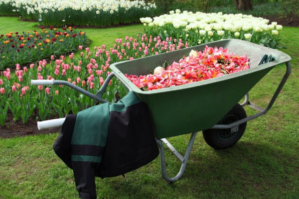 Landscape Design & Installation